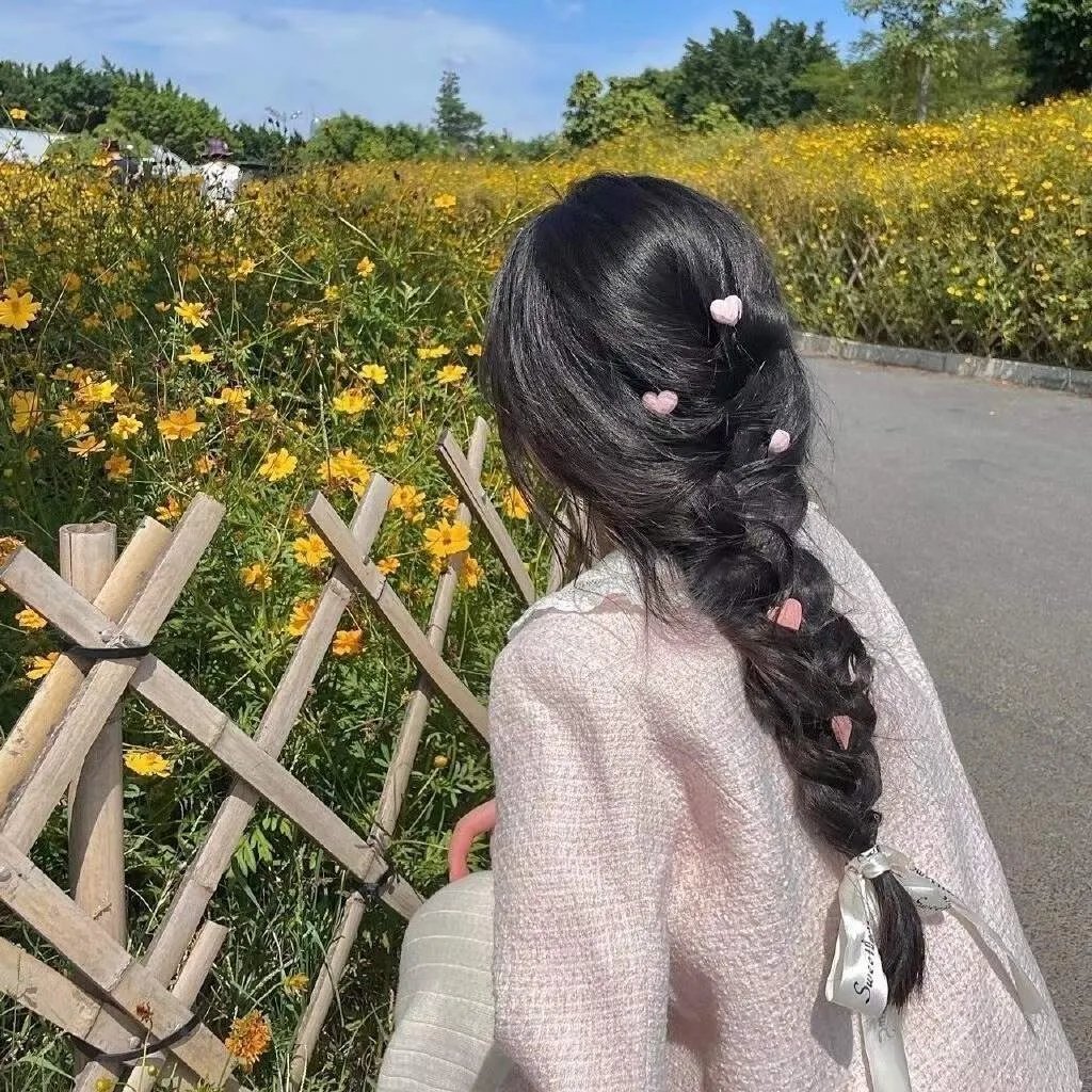 极地熊踪